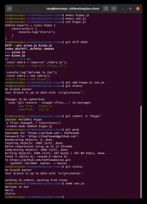Отчёт от 30514 за Система Git / hippo git fetch pull