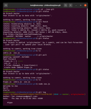 Отчёт от 30514 за Система Git / hippo git fetch pull