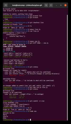 Отчёт от 30514 за Система Git / git branch lion