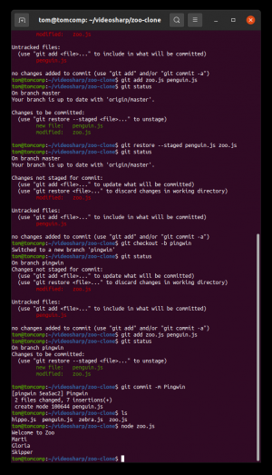 Отчёт от 30514 за Система Git / pingwin