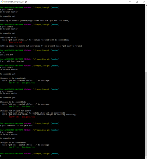 Отчёт от 31287 за Система Git / git add checkout