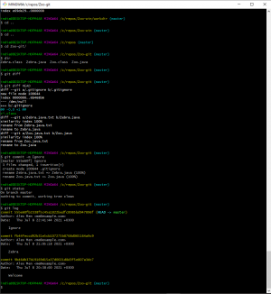Отчёт от 31287 за Система Git / git ignore