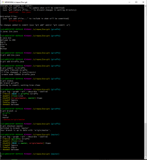 Отчёт от 31287 за Система Git / git branch giraffe