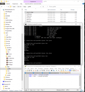 Отчёт от 31287 за Система Git / git branch giraffe