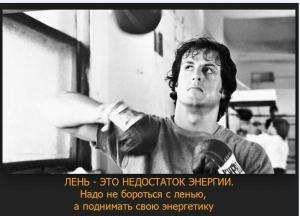 Отчёт от 3146 за Новые технологии / Мотиватор