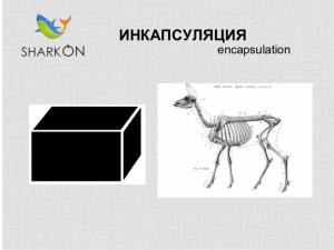 Отчёт от 3397 за Теория ООП / Инкапсуляция мечты