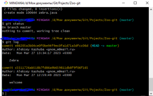 Отчёт от 35328 за Система Git / git commit zebra