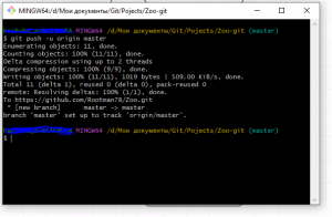 Отчёт от 35328 за Система Git / git push clone