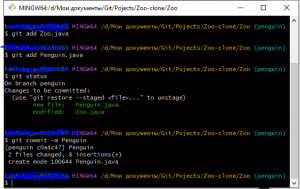 Отчёт от 35328 за Система Git / pingwin