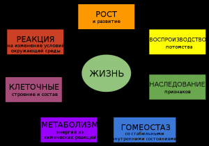 Отчёт от 35866 за Бинарная жизнь / ФИНАЛЬНЫЙ УРОК