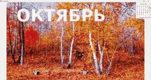 Отчёт от 37244 за Демо софт / Двенадцать месяцев