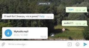 Отчёт от 3922 за API Telegram / Корзина. Что из этого мне нужно?