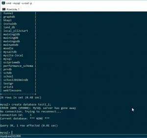 Отчёт от 3922 за SQL: ничего лишнего / Запуск mysql-консоли и создание базы данных