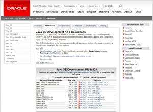 Отчёт от 3922 за J1. Запуск / START - Платформа Java