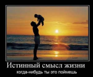 Отчёт от 4004 за Бинарная жизнь / ФИНАЛЬНЫЙ УРОК