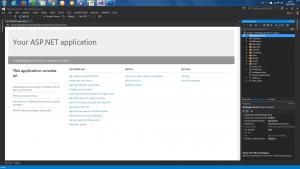 Отчёт от 4342 за Инфобизнес / Подготовка Visual Studio ASP.NET