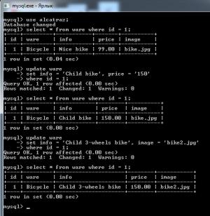 Отчёт от 4467 за Интернет-магазин / UPDATE товара
