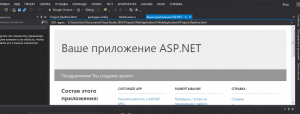 Отчёт от 4546 за Базовый ASP.ект / Выбор темы для проекта