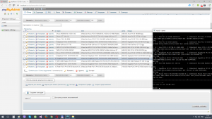 Отчёт от 459 за Интернет-магазин / phpMyAdmin
