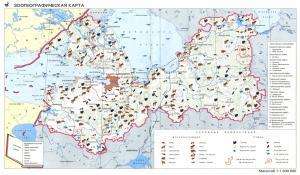 Отчёт от 4591 за ASP.NET и GMaps / Презентация