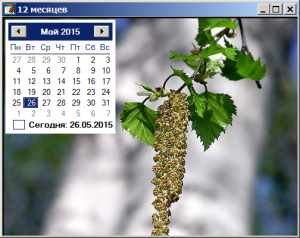 Отчёт от 4606 за Демо софт / Двенадцать месяцев