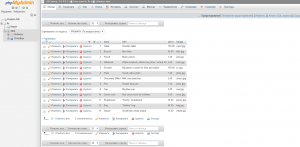 Отчёт от 4709 за Интернет-магазин / phpMyAdmin