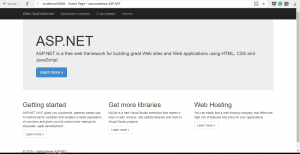 Отчёт от 4720 за Инфобизнес / Подготовка Visual Studio ASP.NET