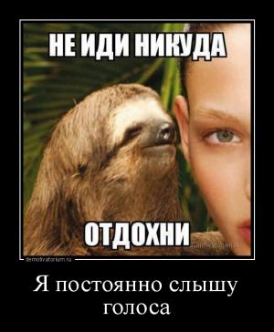 Отчёт от 4780 за Бинарная жизнь / Смысл жизни