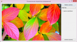 Отчёт от 4889 за Фотошарп / 256 оттенков серого