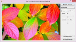 Отчёт от 4889 за Фотошарп / Ярость и контрастность