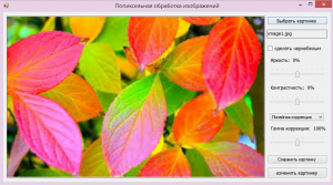 Отчёт от 4889 за Фотошарп / Гамма-коррекция