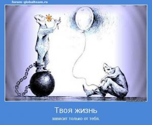 Отчёт от 5029 за Бинарная жизнь / Смысл жизни