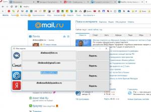 Отчёт от 5286 за Демо софт / Менеджер паролей