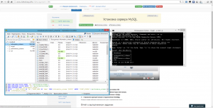 Отчёт от 5407 за Базовый ASP.ект / Установка сервера MySQL