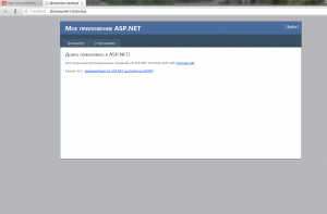 Отчёт от 5565 за Инфобизнес / Подготовка Visual Studio ASP.NET
