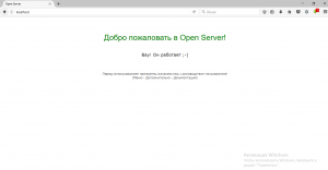 Отчёт от 6203 за Yii2 / Soft - Вступление и подготовка