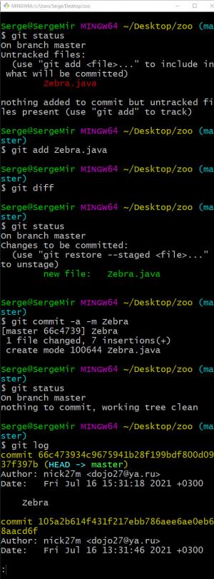 Отчёт от 6203 за Система Git / git commit zebra