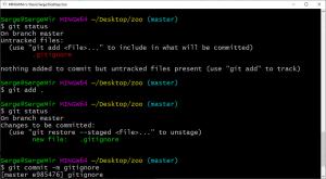 Отчёт от 6203 за Система Git / git ignore