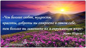 Отчёт от 6391 за Бинарная жизнь / Смысл жизни