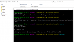 Отчёт от 6401 за Система Git / git init