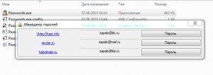Отчёт от 6409 за Демо софт / Менеджер паролей