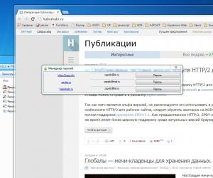 Отчёт от 6409 за Демо софт / Менеджер паролей