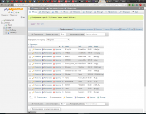 Отчёт от 6720 за Интернет-магазин / phpMyAdmin