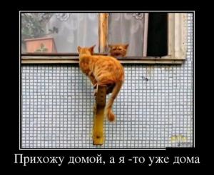 Отчёт от 6861 за Комбинаторика / Рекурсия. Вступление