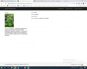 Отчёт от 689 за Доска объявлений / Главная страница - подробности - больше подробностей