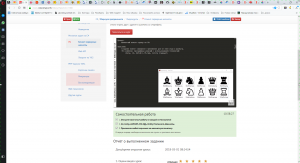 Отчёт от 7048 за Шахматы по сети / План Шахматного проекта