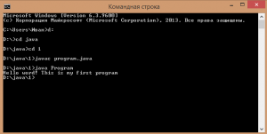 Отчёт от 7048 за J1. Запуск / START - Платформа Java