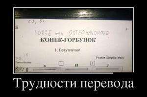 Отчёт от 7119 за Facade / Facade - Motivator - Program