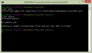 Отчёт от 7119 за Система Git / git init