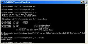 Отчёт от 7181 за J1. Запуск / START - Платформа Java